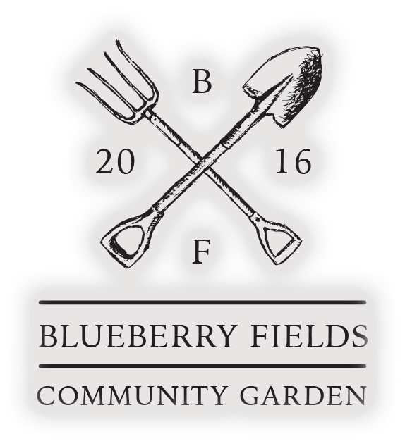 Blueberry Fields Logo